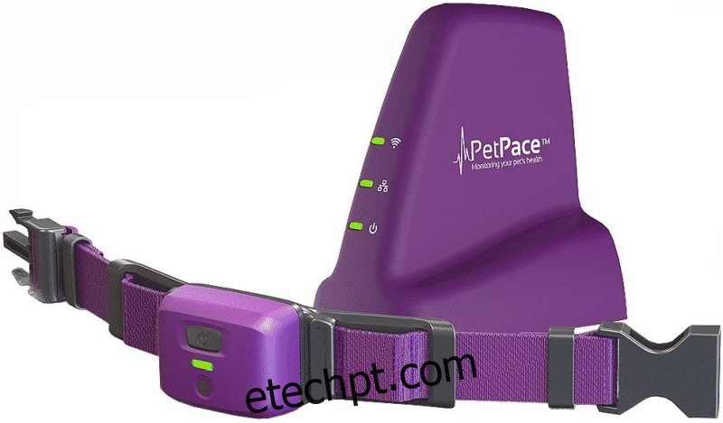 PetPace Smart Collar com 12 meses de monitoramento Pet Plus