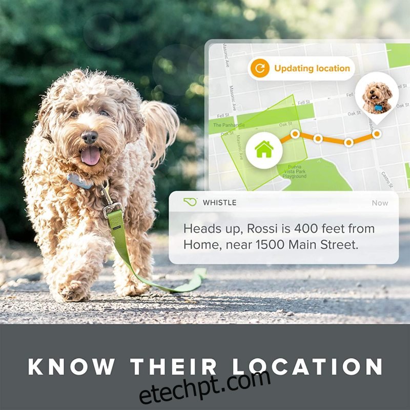 Whistle Go Explore - Ultimate Health & Location Tracker para animais de estimação