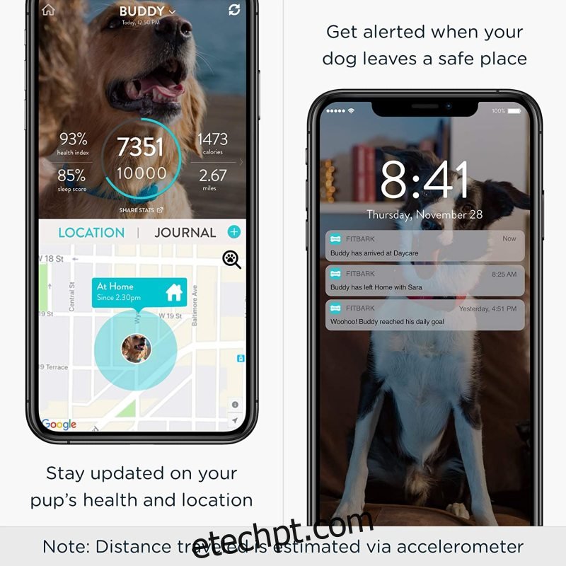 FitBark GPS Dog Tracker |  Coleira inteligente de rastreamento de animais de estimação de saúde e localização
