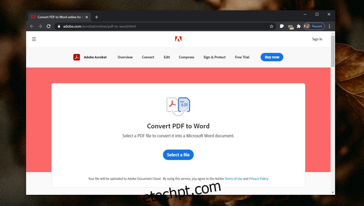 problemas para converter seu PDF em Word